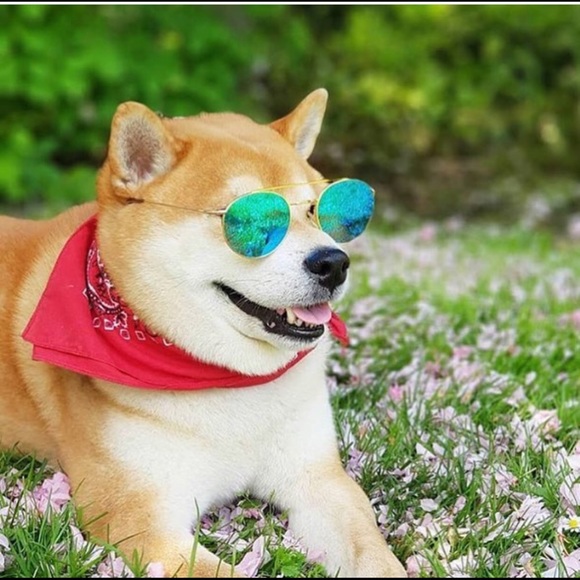 PLEASE!!! - Picture 3 of 7